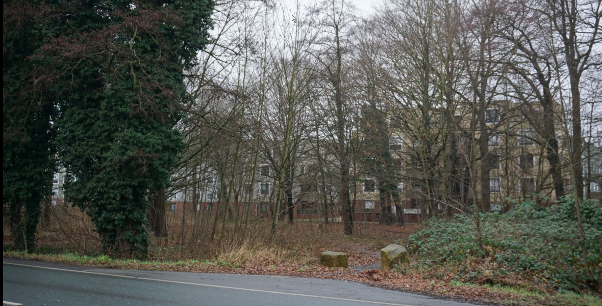 In diesem Wald an der Weseler Straße in Mecklenbeckbeck befand sich das Zwangsarbeiterlager